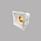 Square LED Downlight